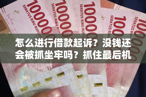 北京怎么进行借款起诉？没钱还会被抓坐牢吗？抓住最后机会！