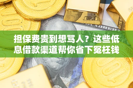 北京担保费贵到想骂人？这些低息借款渠道帮你省下冤枉钱