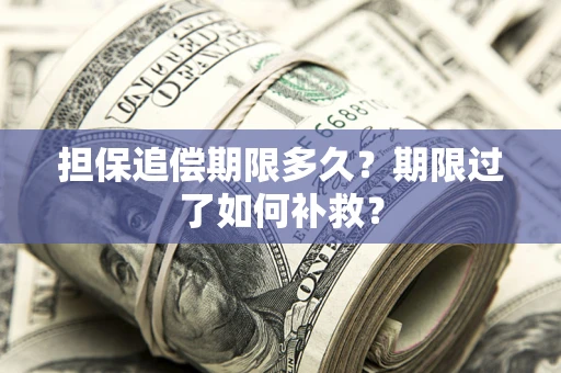 北京担保追偿期限多久？期限过了如何补救？