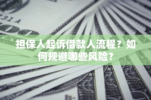 北京担保人起诉借款人流程？如何规避哪些风险？