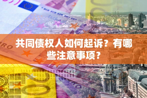 北京共同债权人如何起诉？有哪些注意事项？